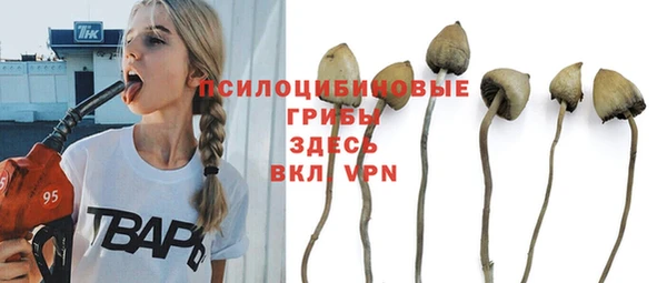 прущие крисы Вязьма