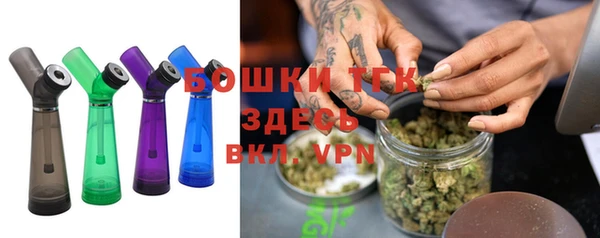 Альфа ПВП Няндома