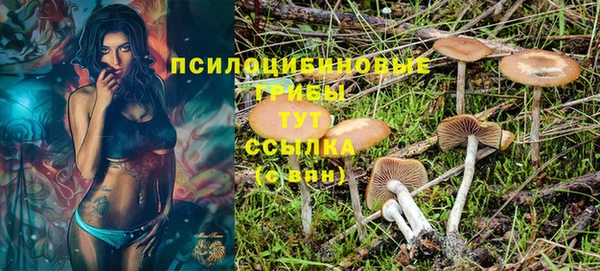 прущие крисы Вязьма