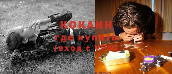 прущие крисы Вязьма
