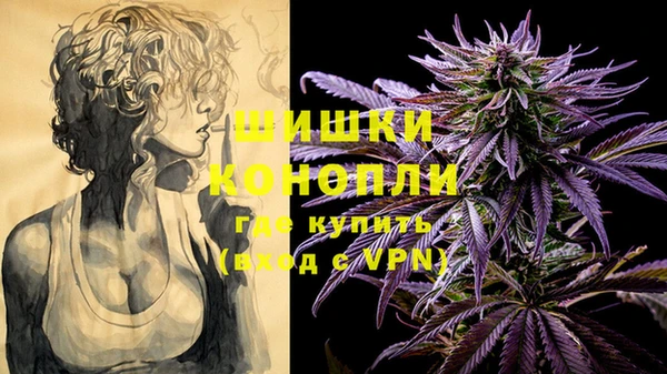 прущие крисы Вязьма