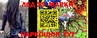 PSILOCYBIN Заводоуковск