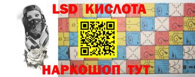 PSILOCYBIN Заводоуковск