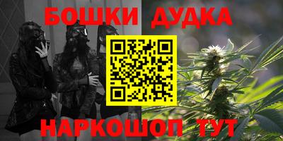 индика Жуковский