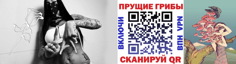где купить наркоту  Москва  блэк спрут зеркало  Галлюциногенные грибы мухоморы 