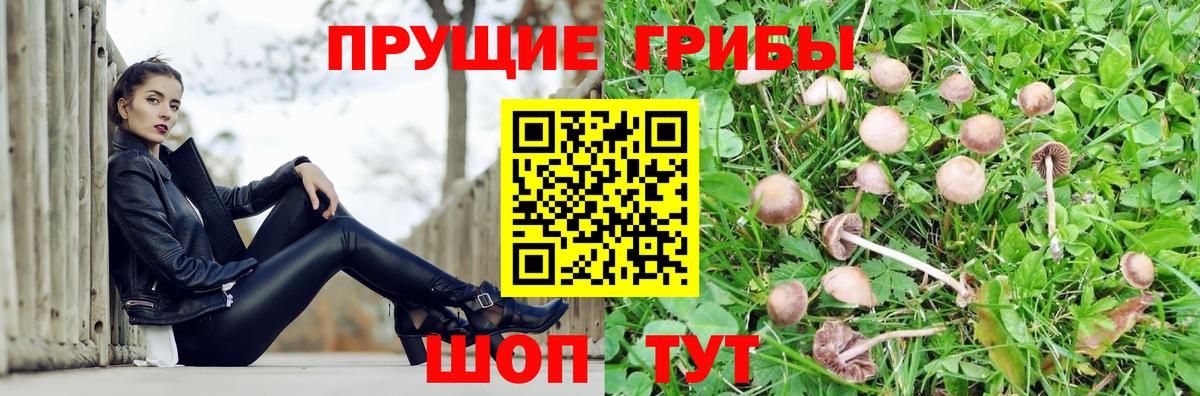Галлюциногенные грибы Magic Shrooms Москва